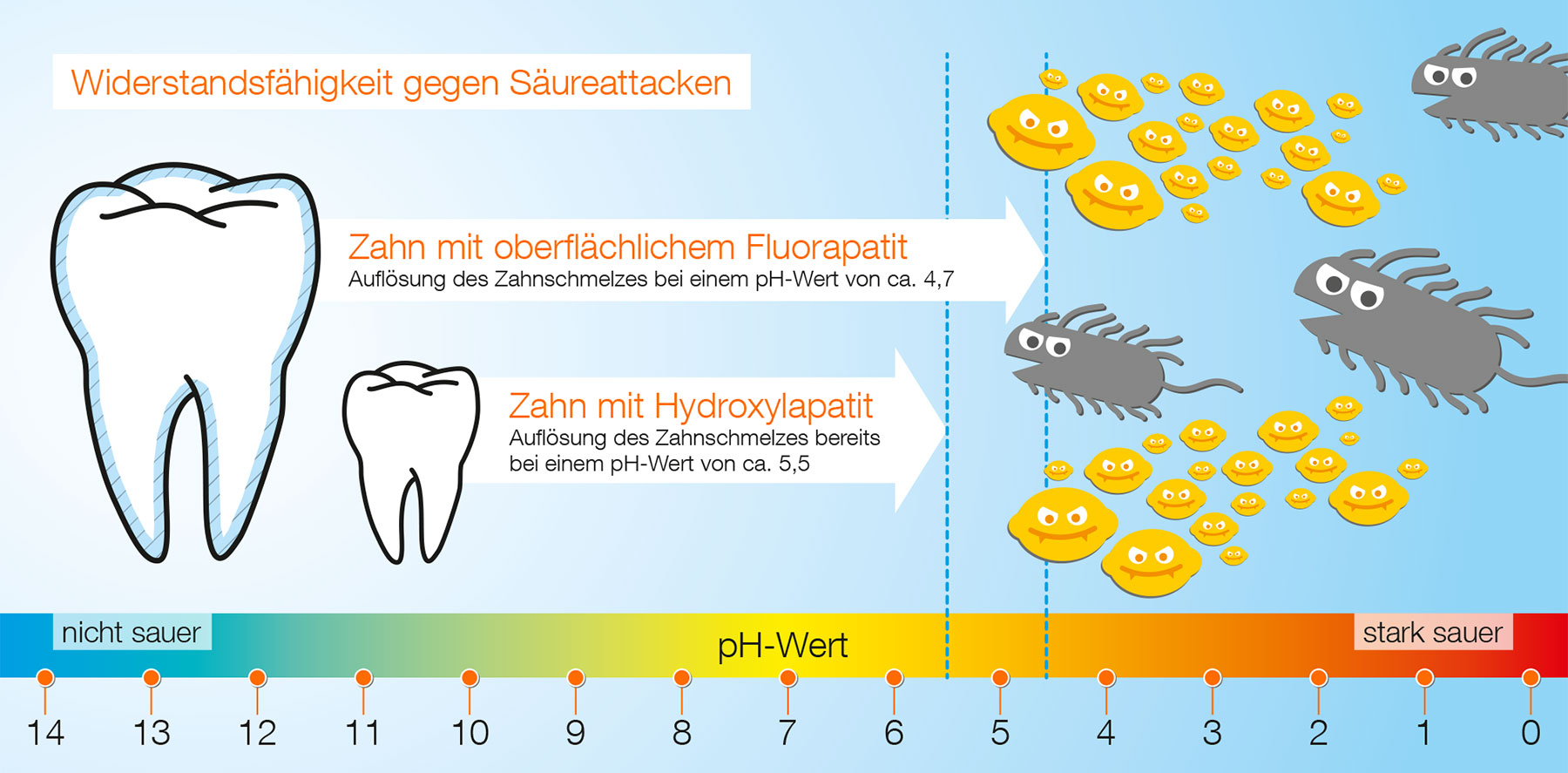 Die Fluoridierung hilft, die Widerstandsfähigkeit der Zähne gegenüber Säureangriffen zu erhöhen.